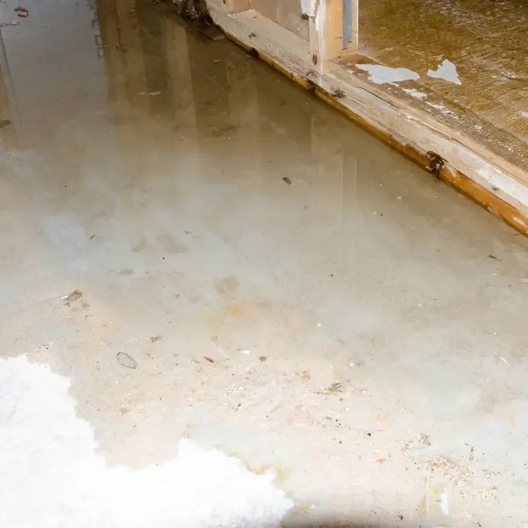 Water spread across concrete beside a door threshold and a wet wall base