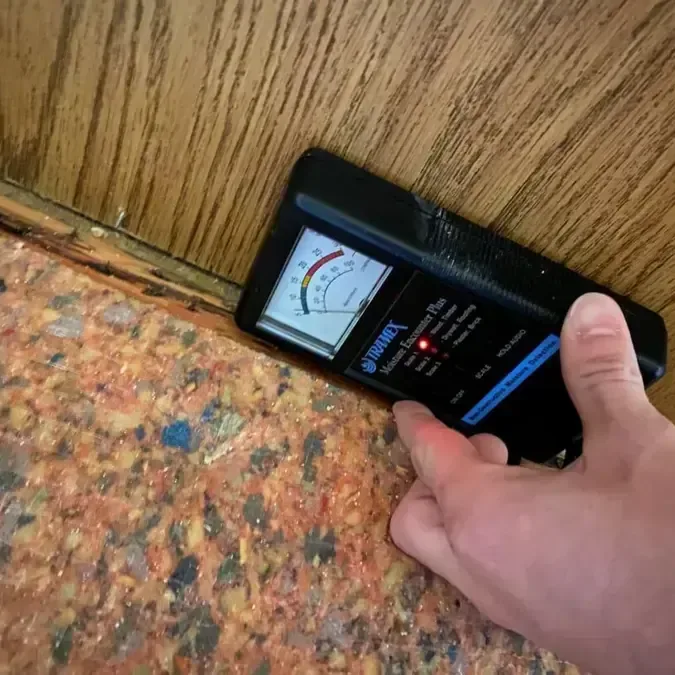 A moisture meter touches a wood surface above exposed carpet padding.
