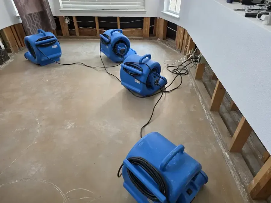 Four blue air movers sit on a bare floor beside exposed lower wall framing.